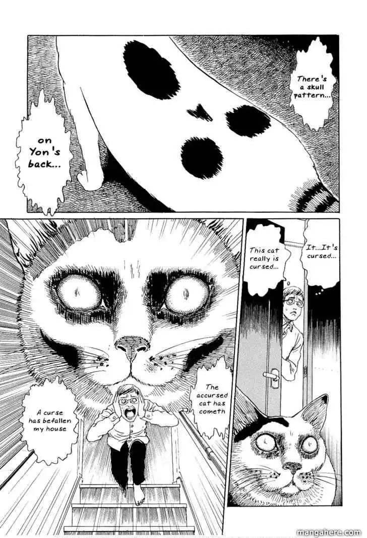 Ito Junji's Cat Diary Chapter 2 5